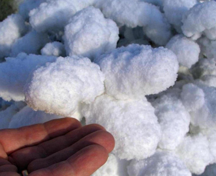 WHITE FLOCK CELLULOSE POWDER (SNOWBOND2)